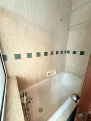 Evergreen Park (D19), Apartment #565046491